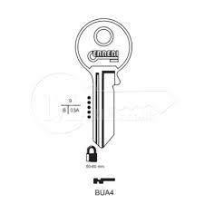 CISA   -  CS33 SILCA