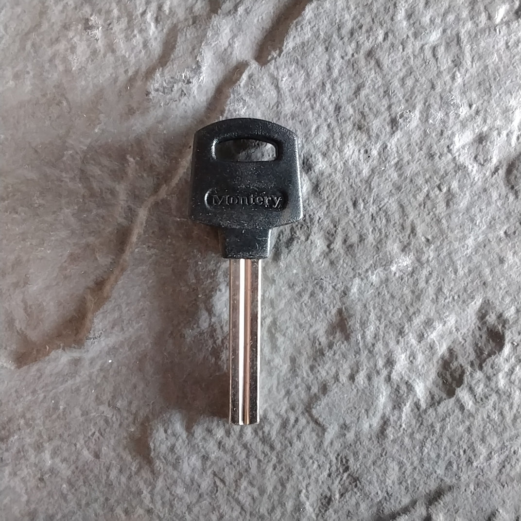 BATON  -  BAT1P SILCA