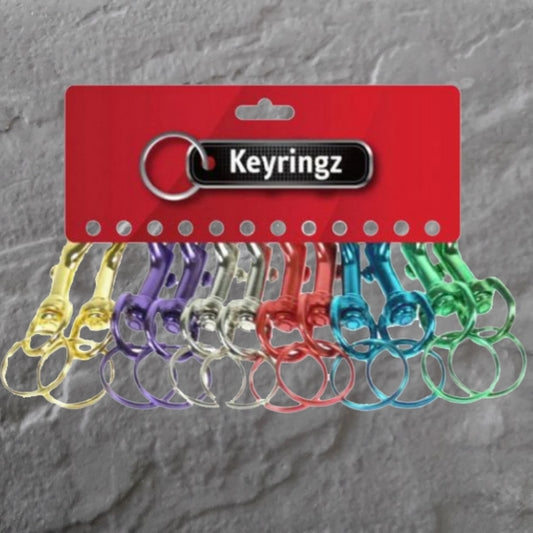 METAL HIPSTER KEY RING ASSORTED  -  308