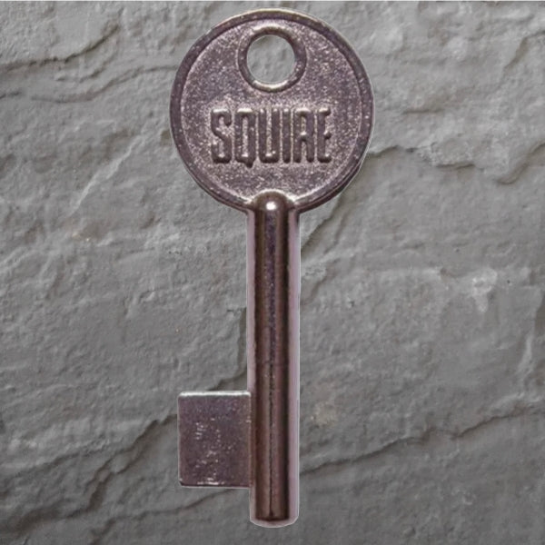 SQUIRE PADLOCK KEY  -  220 PET