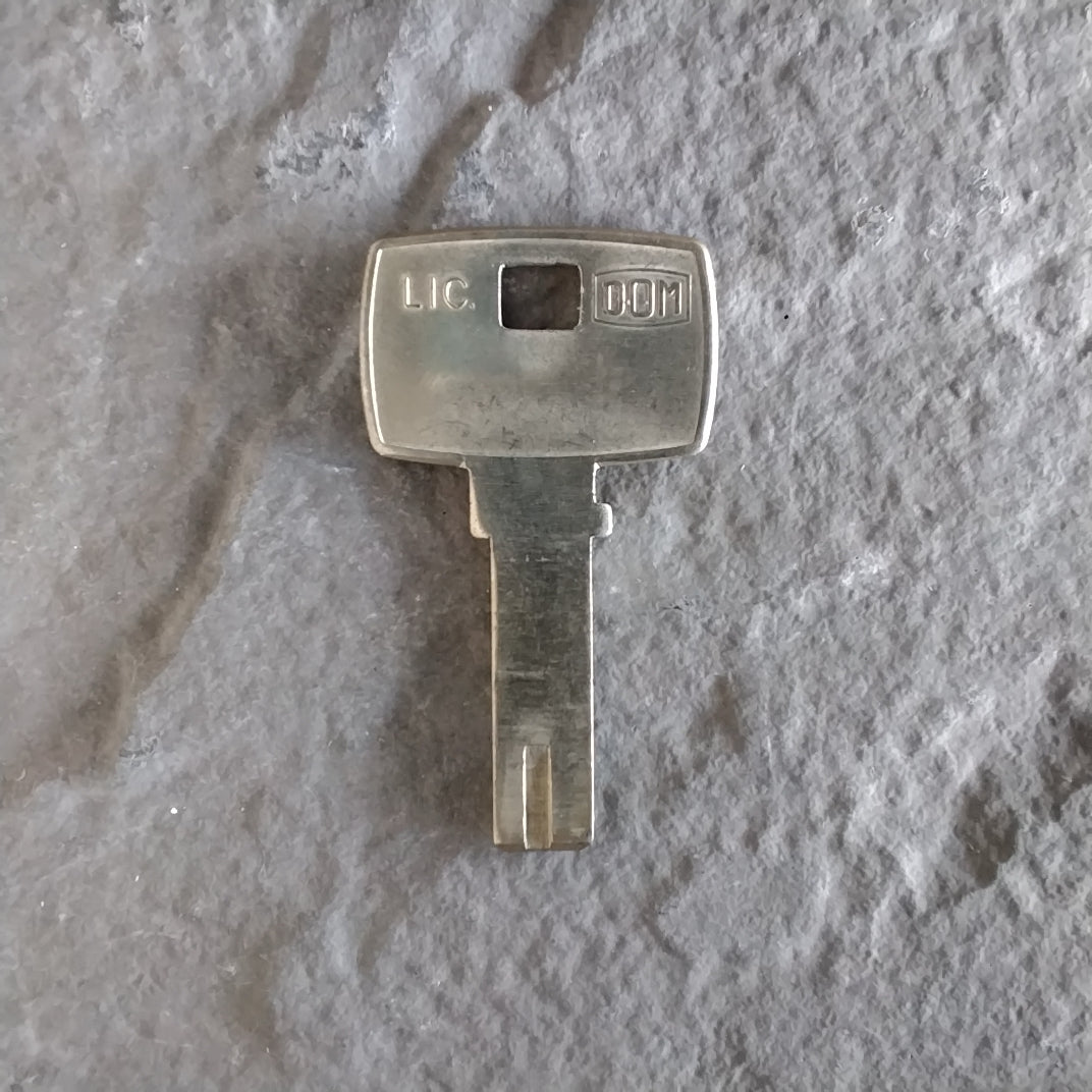 STS / DOM - DM22TV3 SILCA