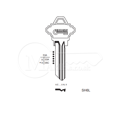 SCHLAGE  -  SH6L ERREBI PASSKEY